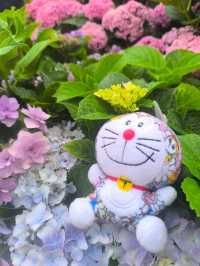 屯門黃金海岸繡球花節