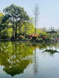 Local Life in Shanghai