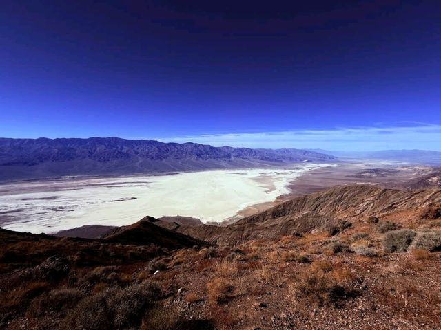 Death Valley Wildflowers – Death Valley, CA
