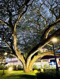 The Old Courthouse Kuching: A Timeless Colonial Landmark and Photogenic Gem 