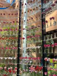 【富山】🌷砺波チューリップフェア🌷
