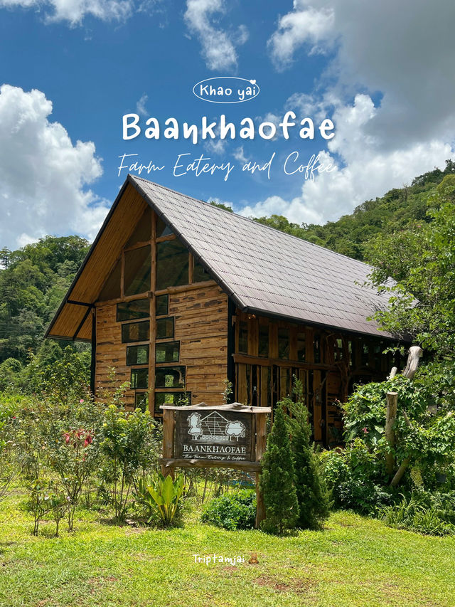 คาเฟ่เขาใหญ่ท่ามกลางภูเขา🌳🪵
