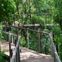 🌳 ไปเที่ยว ป่าในกรุง