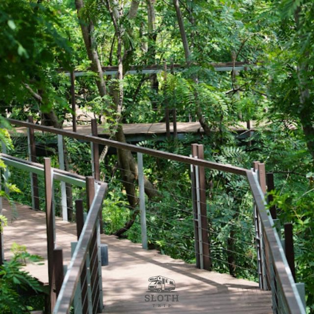 🌳 ไปเที่ยว ป่าในกรุง