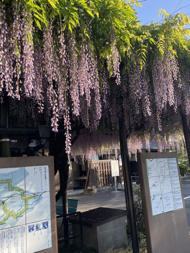 稻荷神社⛩️九州浮羽朝倉鄉間溫泉自駕遊