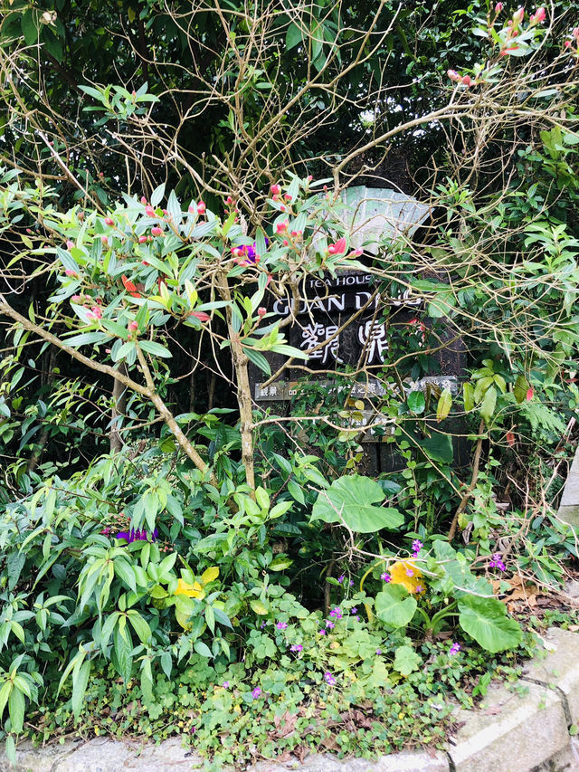 好好行的一個小山