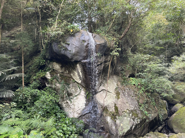 馬武督探索森林｜新竹關西的森林秘境，親子共遊的自然教室 