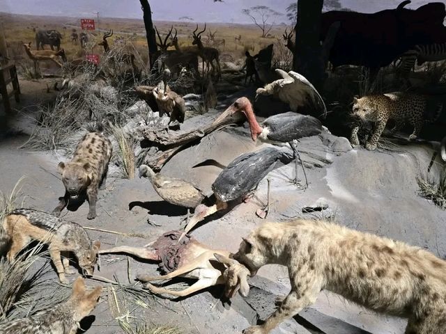 Shanghai Natural History Museum