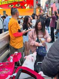 Easygoing Spring Strolls and Street Snacks