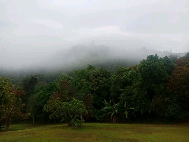 อุทยานแห่งชาติขุนพะวอ