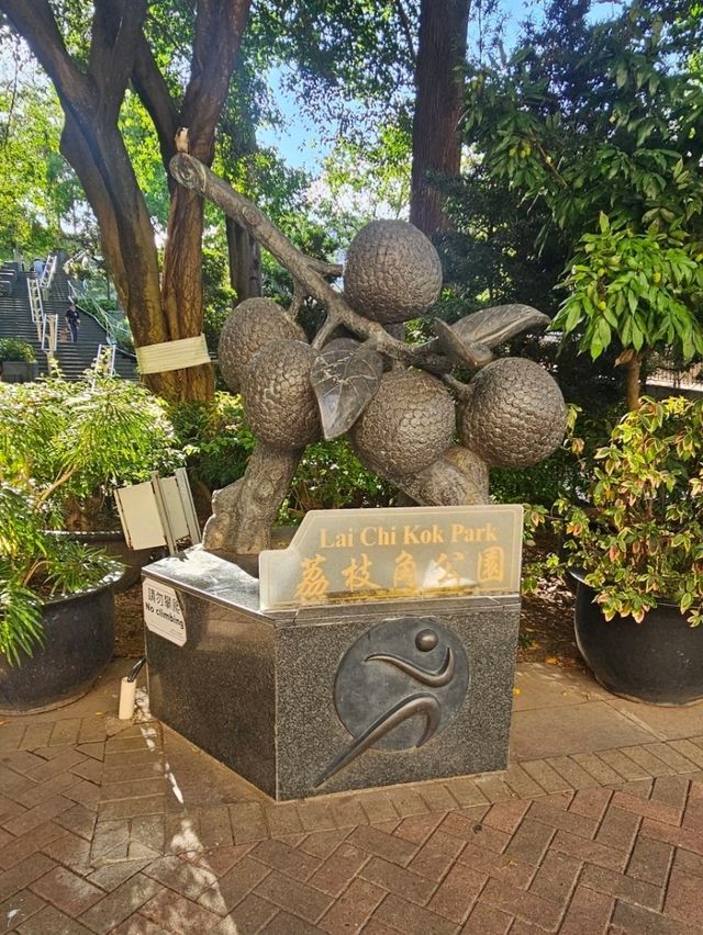 具備中國風、古色古香嘅荔枝角公園