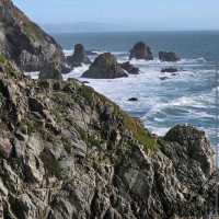 Sonoma Coast State Park – Sonoma County, CA
