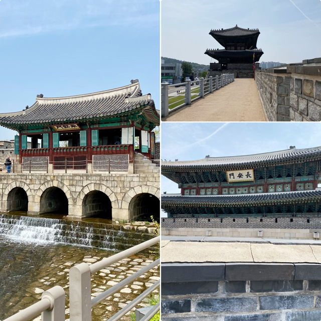 【水原🇰🇷 水原華城】世界遺産☺️ずっと行きたかった水原へ