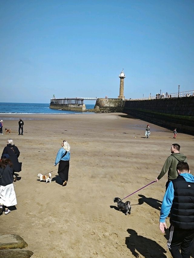 whitby 