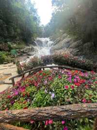 5 days in Da lat