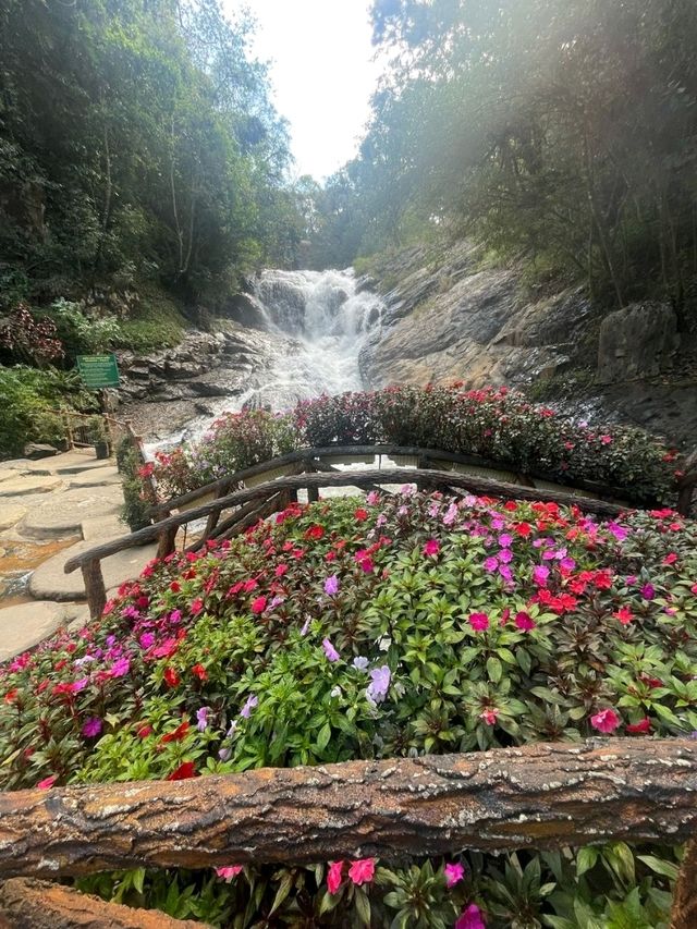 5 days in Da lat