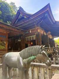 香川｜一日元求心願達成的旭社 40年才完工的日本重要文化財