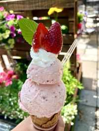 Local Escapes in Katsunuma – Gardens, Curry & a Hint of Wine