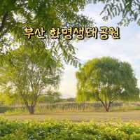 이번 주말, 생태공원에서 피크닉 즐겨보세요!🧺🍃☘️