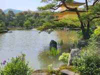 Kinkaku-ji: Kyoto’s Radiant Golden Temple
