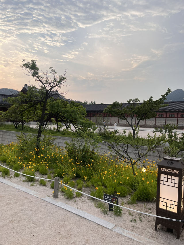 韓国/ソウル【景福宮】景福宮夜間観覧