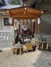 【東京都品川🇯🇵 蛇窪神社】東京の白蛇さまへ☺️