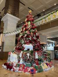 동남아의 첫 크리스마스, 하노이 팬 퍼시픽에서 누려보세요✨🎄
