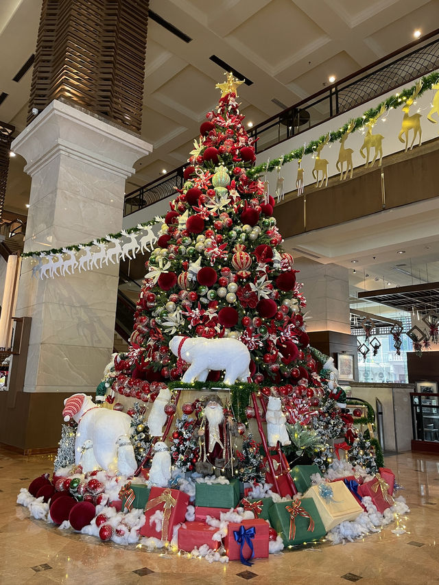 동남아의 첫 크리스마스, 하노이 팬 퍼시픽에서 누려보세요✨🎄