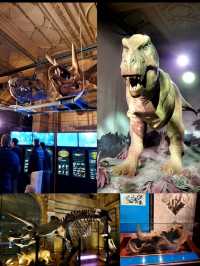 英國自然史博物館🏛人氣恐龍化石，大開眼界（Natural History Museum）