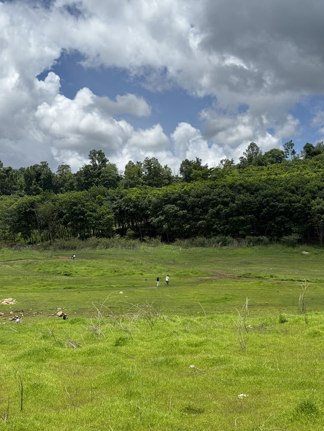 เขื่่อนบ้านลาน จ.เชียงใหม่ ⛰️🌳🌦️🐄