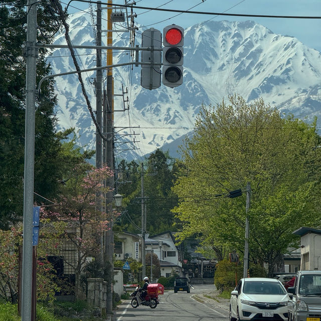 ”Oide Park“ ณ หมู่บ้านฮะคุบะ 🏔️🌲🇯🇵
