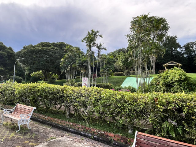 Lower Peirce Reservoir – Brisk Walks & Monkey Business