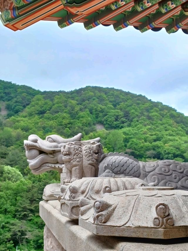 산속에 숨어 있는 알록달록 단청 사찰