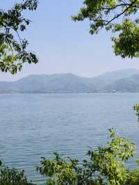 A Peaceful Getaway: My Visit to Daejeon Meditation Garden
