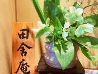 🌸九州百年老字號🎏極品蒸籠鰻魚🌸