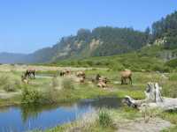 Weekend escape at Holiday Inn Express Klamath