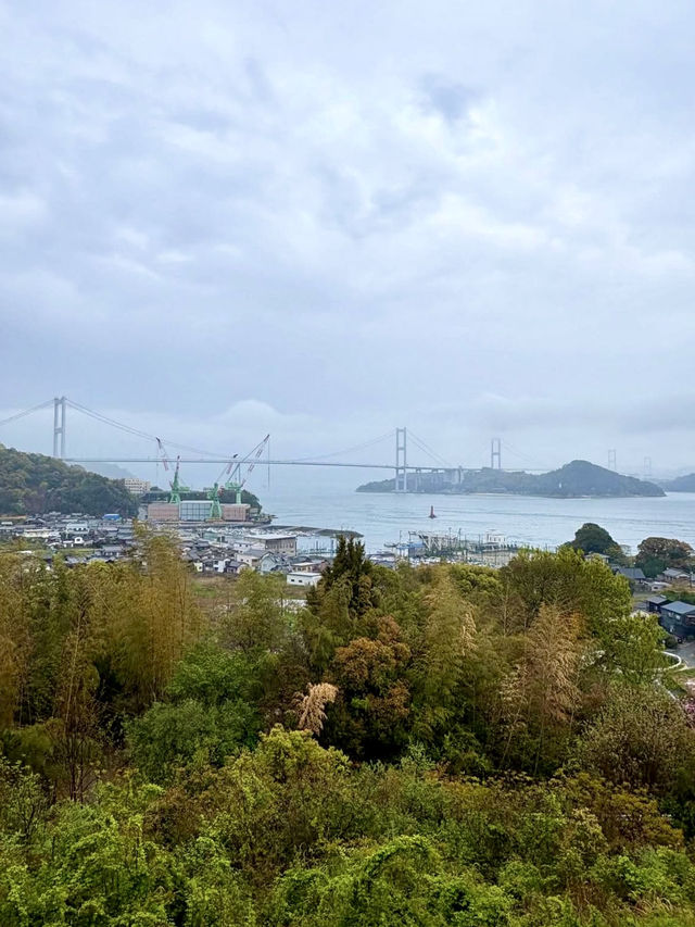 A Day of Art & Scenic Views in Imabari – Even in the Rain
