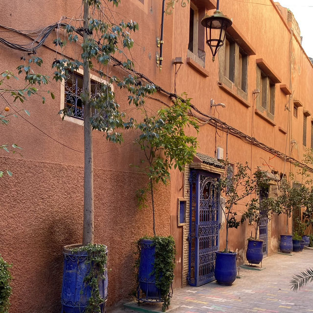 Springtime in the Medina: My Marrakech Adventure