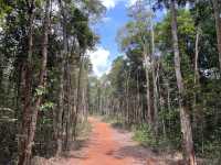 Panbil Nature Reserve: A Thrilling Jungle Workout with Stunning Rewards