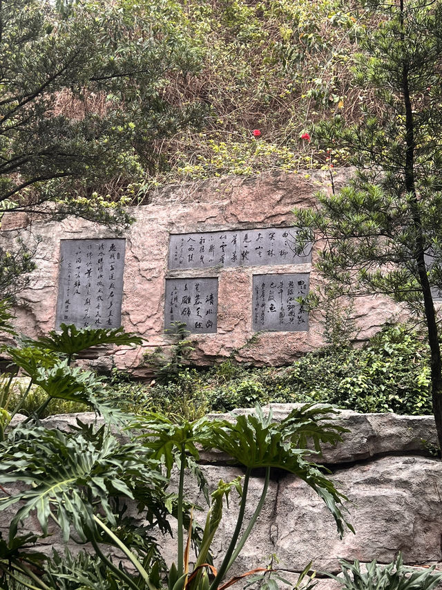 深圳國際園林花卉博覽園——不用花錢的好去處