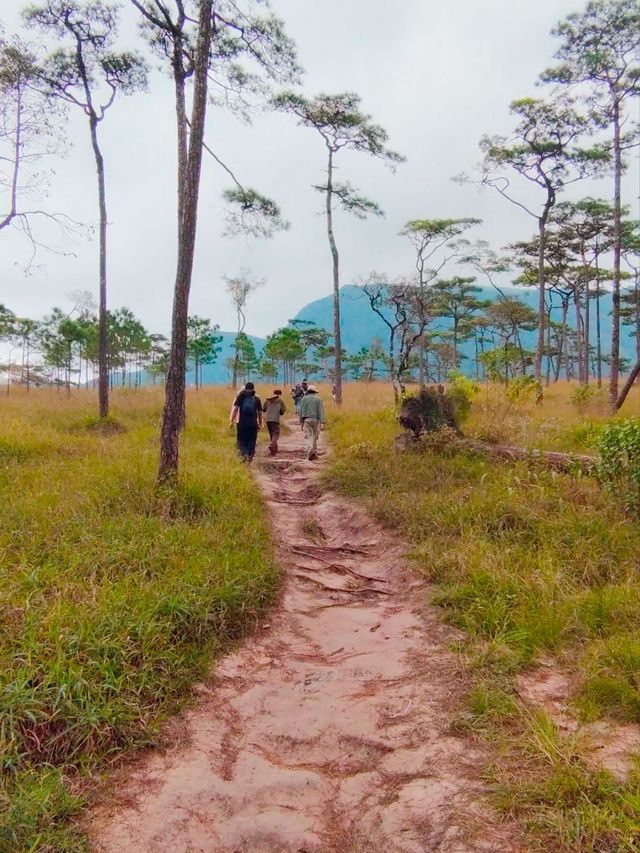 เดินป่าหน้าฝน อุทยานแห่งชาติภูสอยดาว อุตรดิตถ์