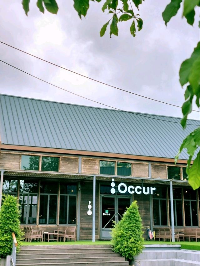 OCCUR Cafe, Trang