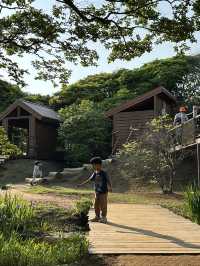 濟州島 snoopy garden 史努比樂園