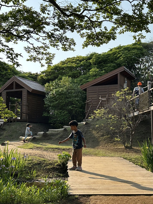 濟州島 snoopy garden 史努比樂園