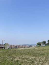 인천 문학산(217m) 등산, 여행 장소로 추천해요 :)