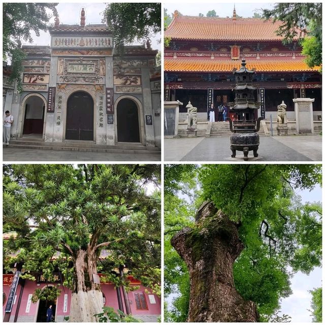 嶽麓山徒步