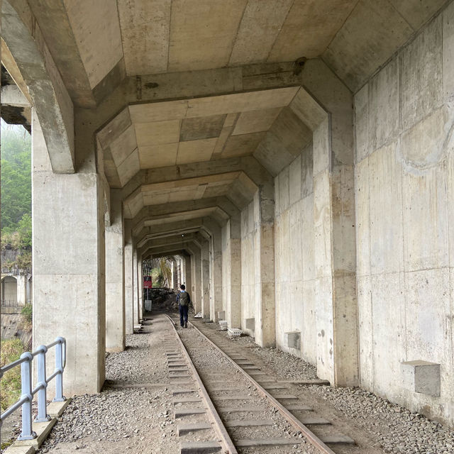 🚶‍♂️阿里山眠月線健行｜沼平車站 ⇄ 石猴車站