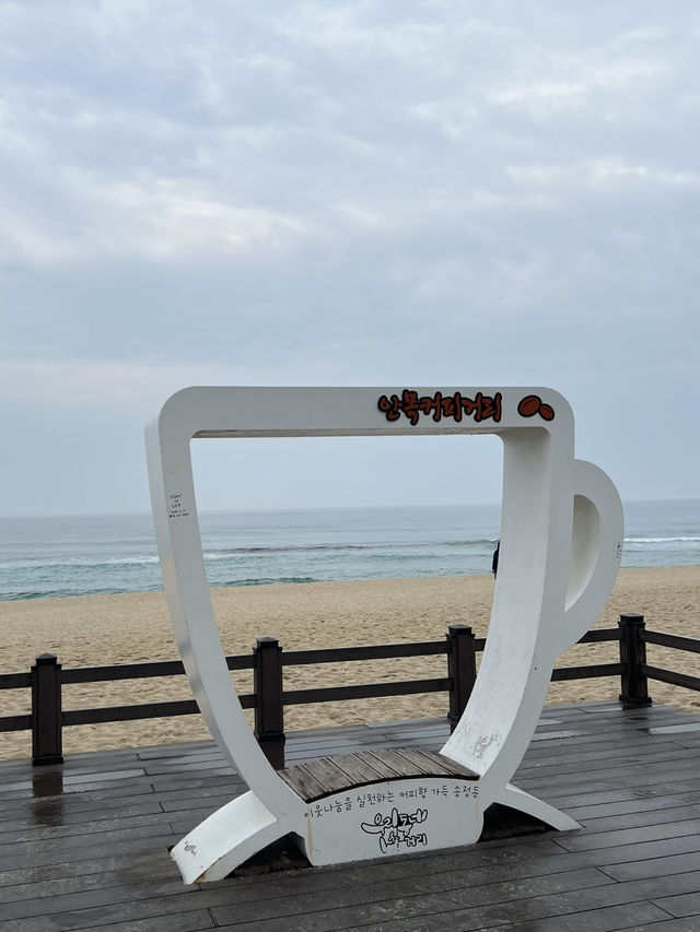 여름, 바다, 푸르름