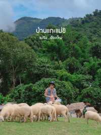 บ้านแกะแม่ขิ-Maekee Sheep House