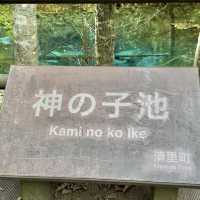 一度は見に行きたい✨️神秘的な青い池